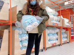 -盒马X会员店(王府井奥莱UP TOWN店)