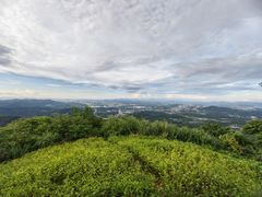 -黄埔油麻山森林公园