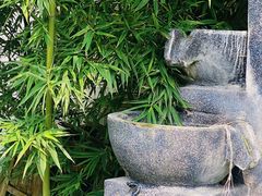 -树山生态村