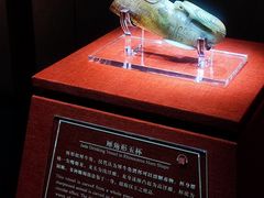 -南越王博物院