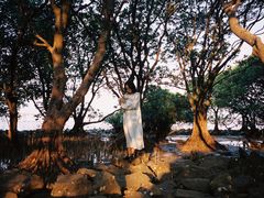 -宝安西湾红树林湿地公园