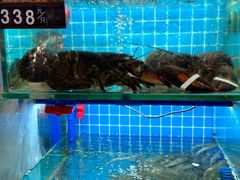 -覃记海鲜美食餐厅