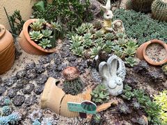 -正佳雨林生态植物园