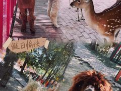 -水上乐园·欢乐世界