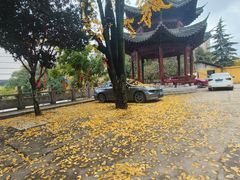 -宝通禅寺