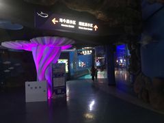 -烟台海昌鲸鲨海洋公园