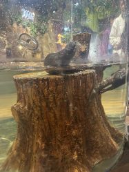 -Zoolung Zoolung动物主题公园(海信广场店)