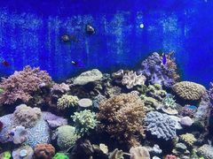 -珠海长隆海洋王国