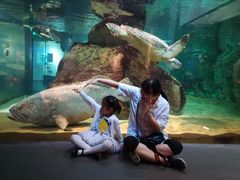 -西海国立公园九十九岛水族馆