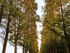 -嘉北郊野公园