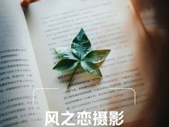 -华侨城湿地公园