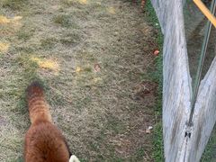 -泉州海丝野生动物世界