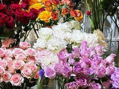 -植物学家的女儿(北马道巷店)