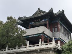 -龙沙公园