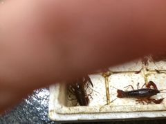 -青石桥市场北1-27号