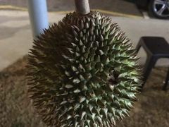 -纽顿熟食中心