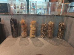 -菌自在·云南野生菌火锅(长安万达店)