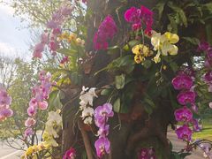 -云溪植物园