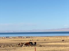 -青海湖国家重点风景名胜区