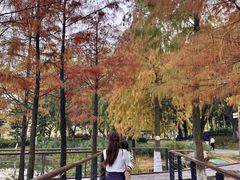 -映月湖公园