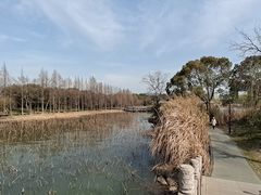 -渤公岛生态公园