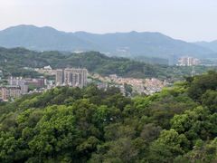 -福道