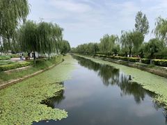 -白洋淀景区