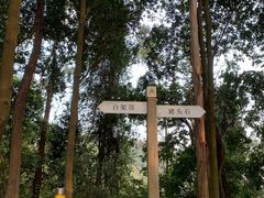 -火炉山森林公园