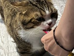 -小时光咖啡馆(北锣鼓巷店)