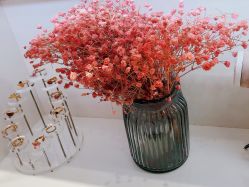 店内环境-爱睫物语