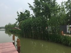 -白鹭湾湿地公园