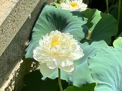 -厦门园林博览苑