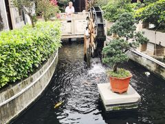 -顺德了能馆(虎门店)