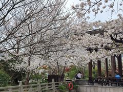 -广富林郊野公园