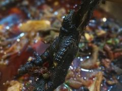 -黑竹香鸡(营和巷店)