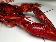 -霸王虾·麻辣小龙虾(清水河公园店)