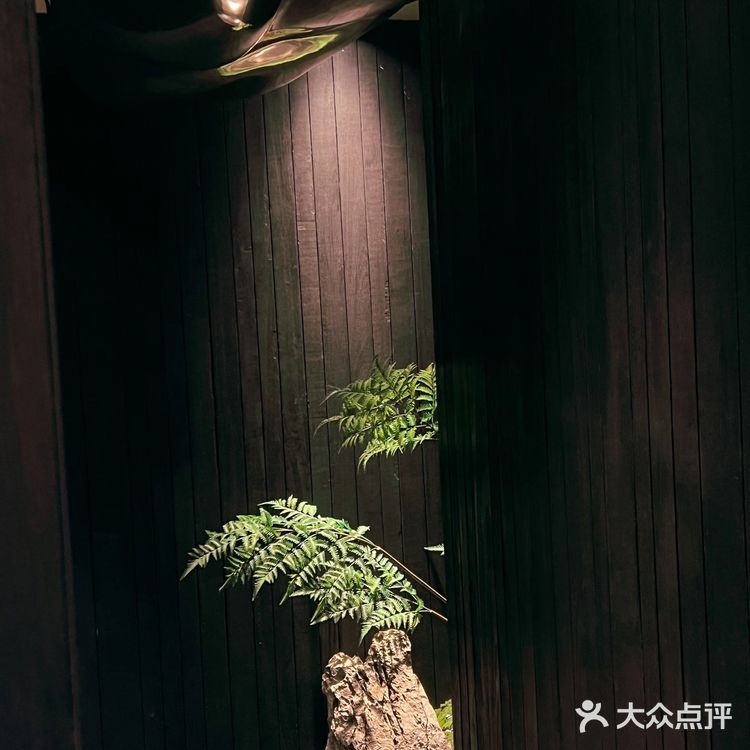 长沙探店｜Omakase🍣天花板