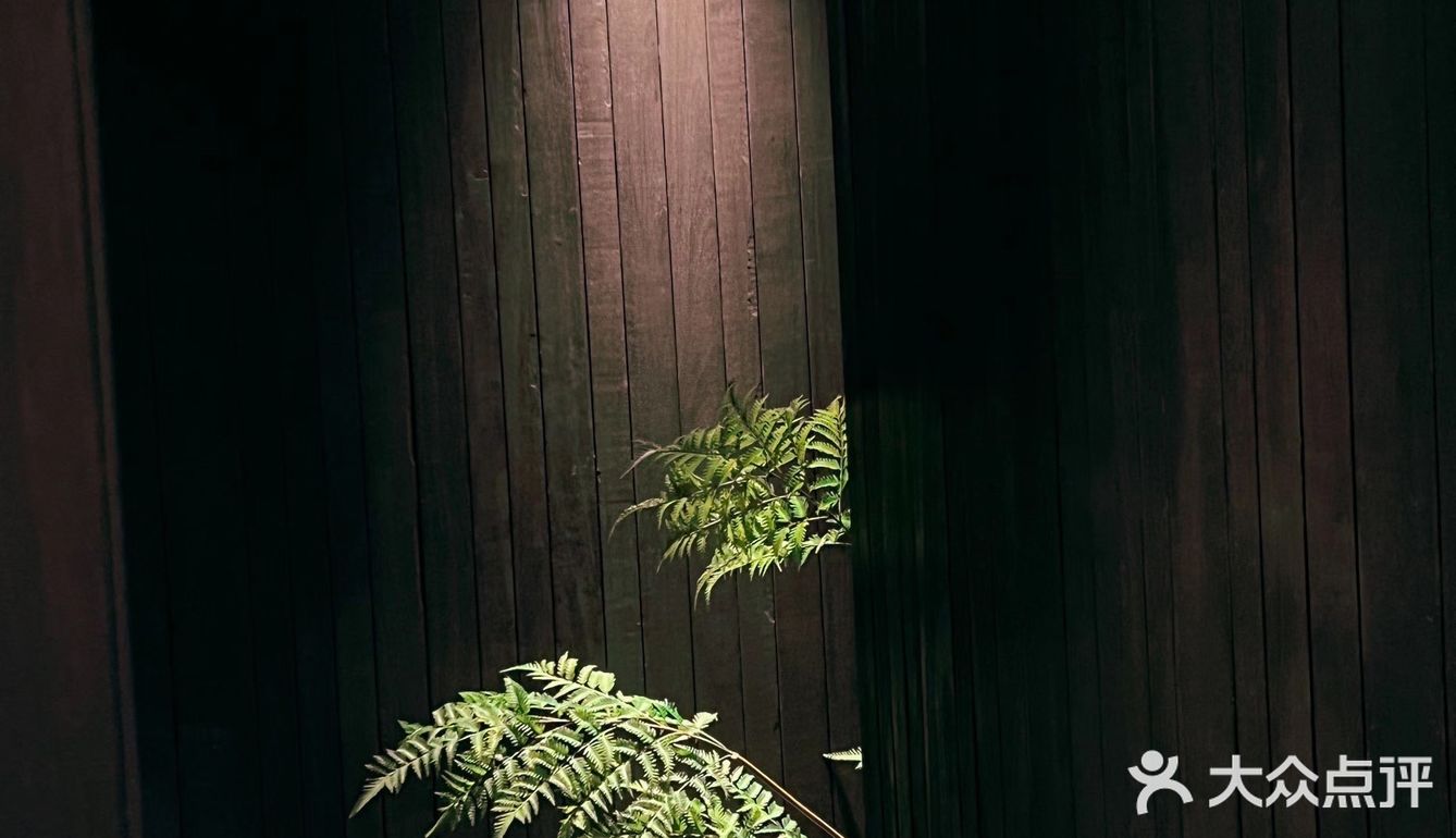 长沙探店｜Omakase🍣天花板