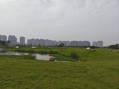 -洋湖国家湿地公园