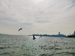 -深圳湾公园(南山区)
