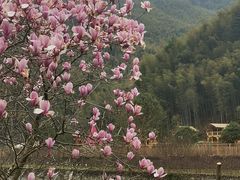 -鹿亭中村