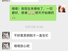 -爱侣宠医·鹦鹉专科·小型哺乳类·异宠专科(灵石路店)