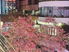 -瑞虹新天地月亮湾