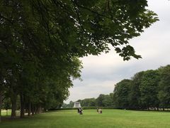 -维格兰雕塑公园