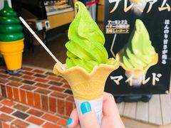 -鎌倉茶々(本店)