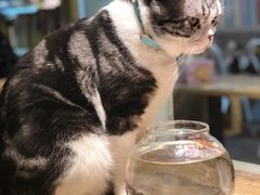 -小时光咖啡馆(开森度假森林店)