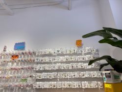 -Zzmart珠珠世界·潮玩·串珠·水晶DIY(双塔店)