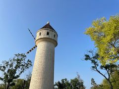 -东平国家森林公园