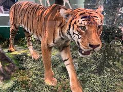 -国家自然博物馆