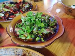 烧肥肠-江油肥肠(飞龙路中段店)